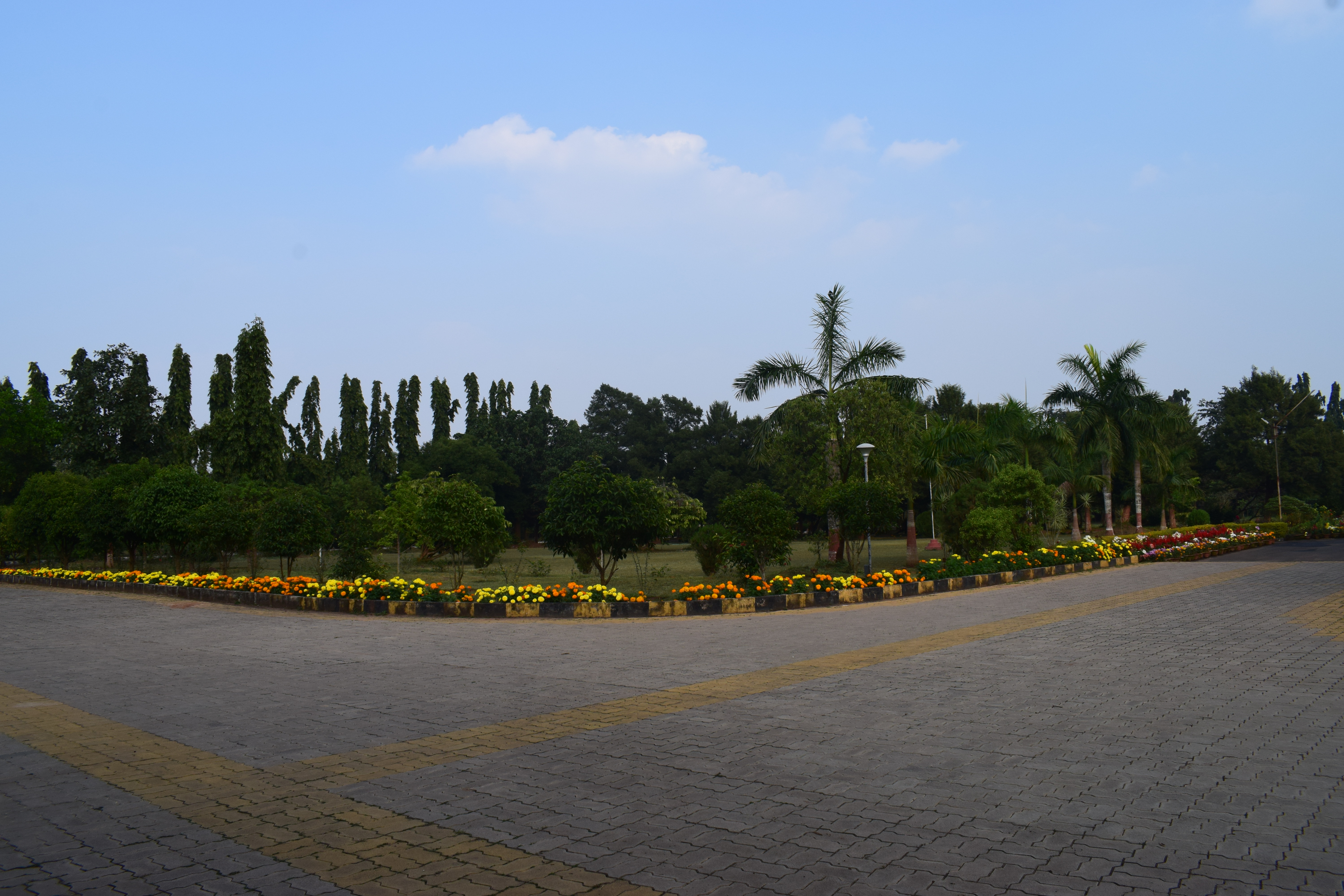 Iopb Home Institute Of Physics Bhubaneswar