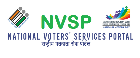 nvsp logo 