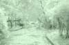 dsc04943_small.jpg