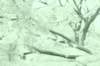 dsc04944_small.jpg