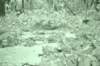 dsc04945_small.jpg