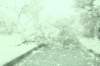 dsc04947_small.jpg
