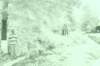 dsc04949_small.jpg