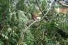 dsc04952_small.jpg