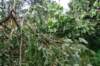 dsc04953_small.jpg