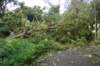 dsc04954_small.jpg