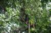 dsc04955_small.jpg