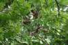 dsc04957_small.jpg