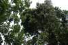 dsc04958_small.jpg