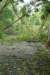 dsc04960_small.jpg