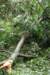 dsc04961_small.jpg