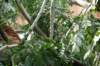 dsc04979_small.jpg