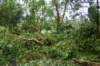 dsc04980_small.jpg