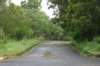 dsc04981_small.jpg
