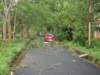 dsc04985_small.jpg