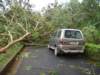 dsc04986_small.jpg