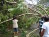 dsc04987_small.jpg
