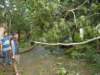 dsc04988_small.jpg