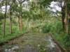 dsc04989_small.jpg