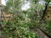 dsc04990_small.jpg