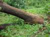 dsc04993_small.jpg