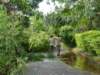 dsc04994_small.jpg