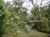 dsc04995_small.jpg