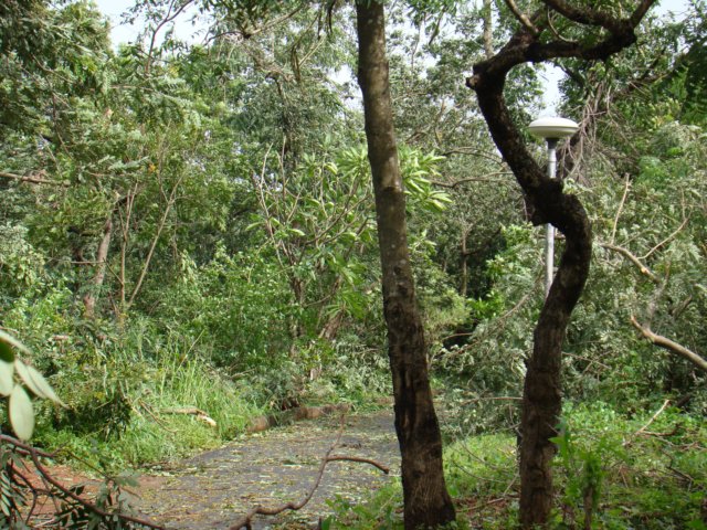 dsc04996.jpg