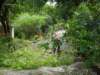 dsc04997_small.jpg