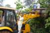dsc05010_small.jpg