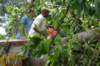 dsc05012_small.jpg