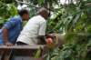 dsc05013_small.jpg