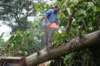 dsc05014_small.jpg