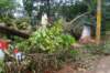 dsc05020_small.jpg