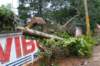 dsc05021_small.jpg