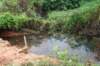 dsc05023_small.jpg