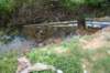 dsc05024_small.jpg