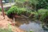 dsc05026_small.jpg