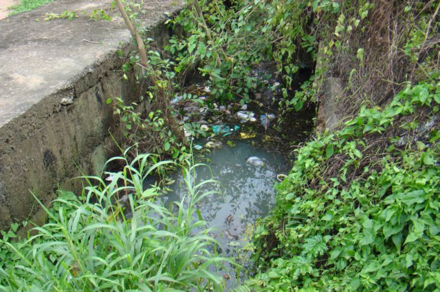 dsc05028.jpg