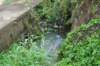 dsc05028_small.jpg