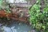 dsc05029_small.jpg