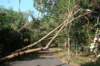 dsc05032_small.jpg