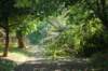 dsc05033_small.jpg