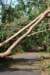 dsc05034_small.jpg