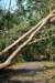 dsc05035_small.jpg