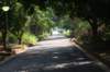 dsc05038_small.jpg