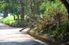 dsc05039_small.jpg