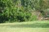 dsc05040_small.jpg