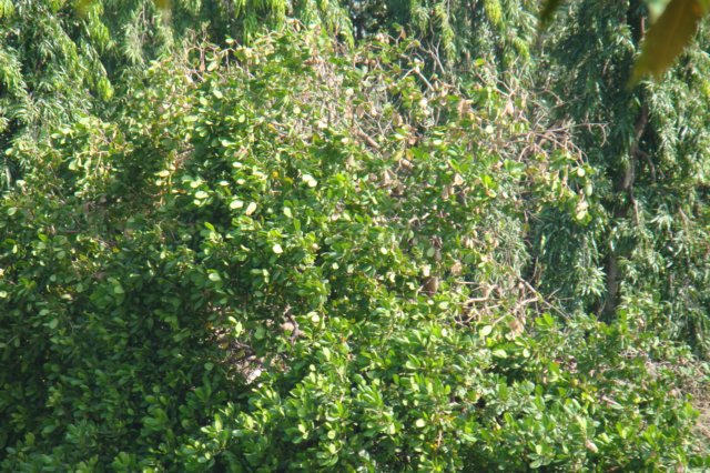 dsc05041.jpg