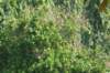 dsc05041_small.jpg